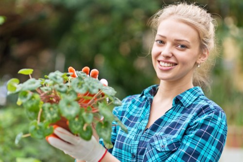 Gardening maintenance in Fulwell with tidy lawn and shrubs