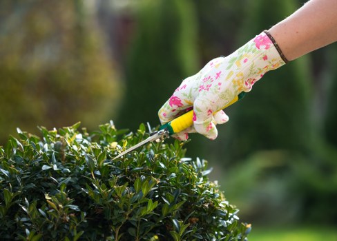 Gardeners Fulwell terms and conditions introduction