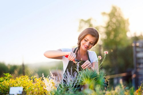 Load-based and cubic-yard quote options for garden clearance