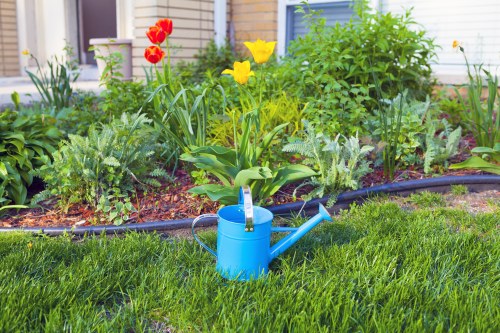 Well-kept Fulwell garden after regular grass cutting