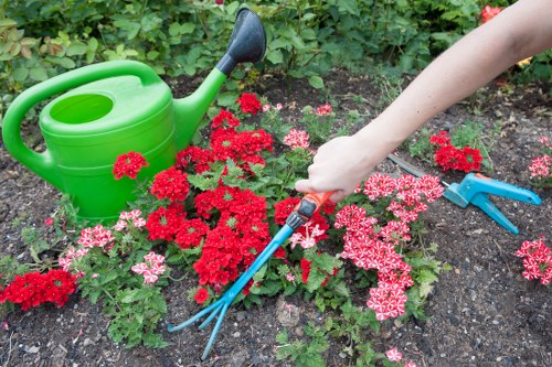 Close-up of hedge maintenance showing neat garden boundaries