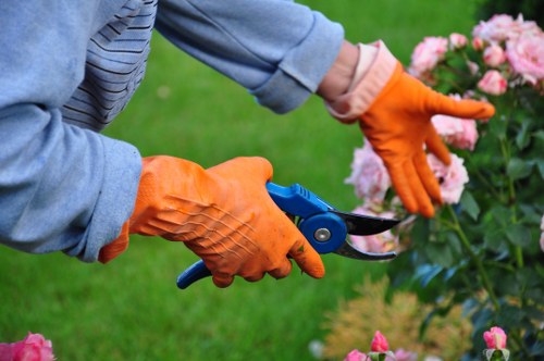 Seasonal gardening services in Fulwell for healthy lawns and borders