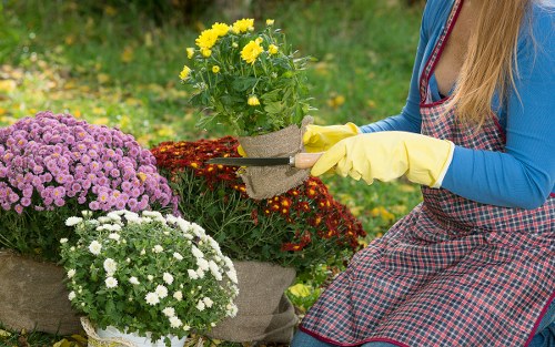 Fulwell gardening support for lawns, shrubs, and landscaped gardens