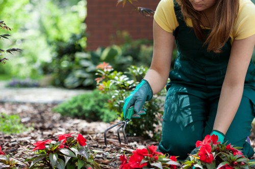Garden waste being processed through a transfer station