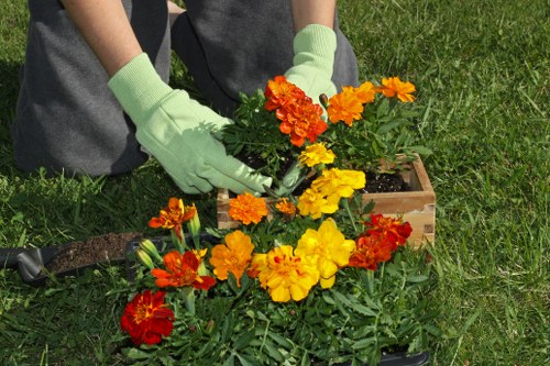 Accessible local gardening support information for Fulwell