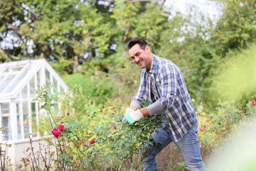 Weed control and border care in a Fulwell outdoor space