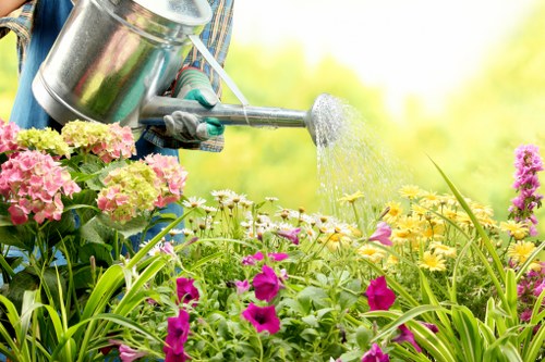 Professional lawn mowing service maintaining a Fulwell garden