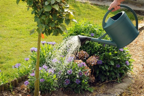 Fulwell garden lawn treatment with aeration and weed control