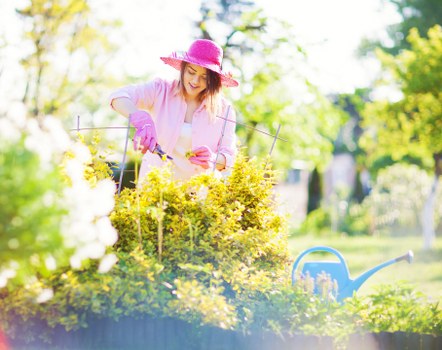 Inclusive Gardeners Fulwell accessibility and assistance notice