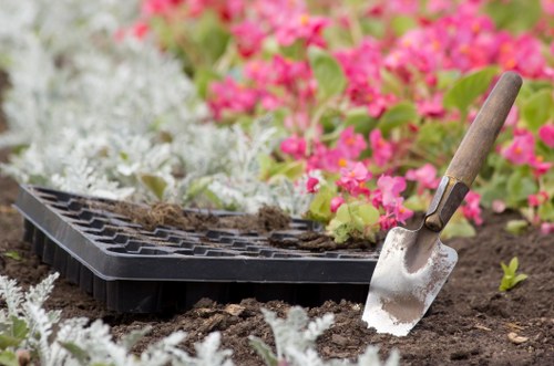 Professional garden clearance in Fulwell with collected waste