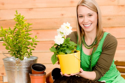 Local garden maintenance in Fulwell with planting and hedge trimming