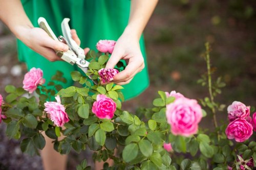 Cookie settings and user control for garden services website