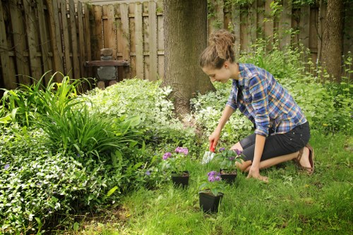 Garden clearance and maintenance services in Fulwell for outdoor spaces