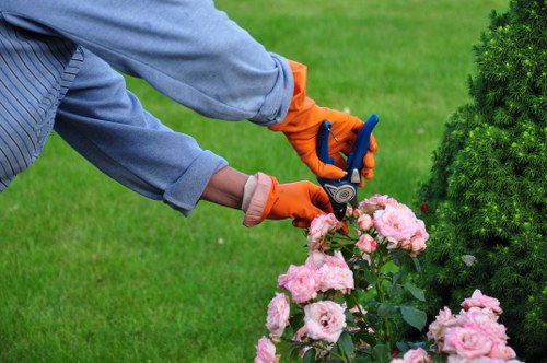 Free quote planning for a garden tidy in Fulwell