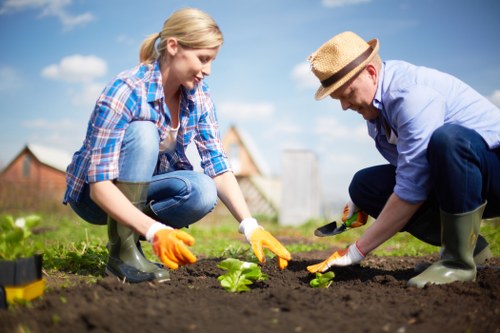 Managing garden hazards and changing weather conditions