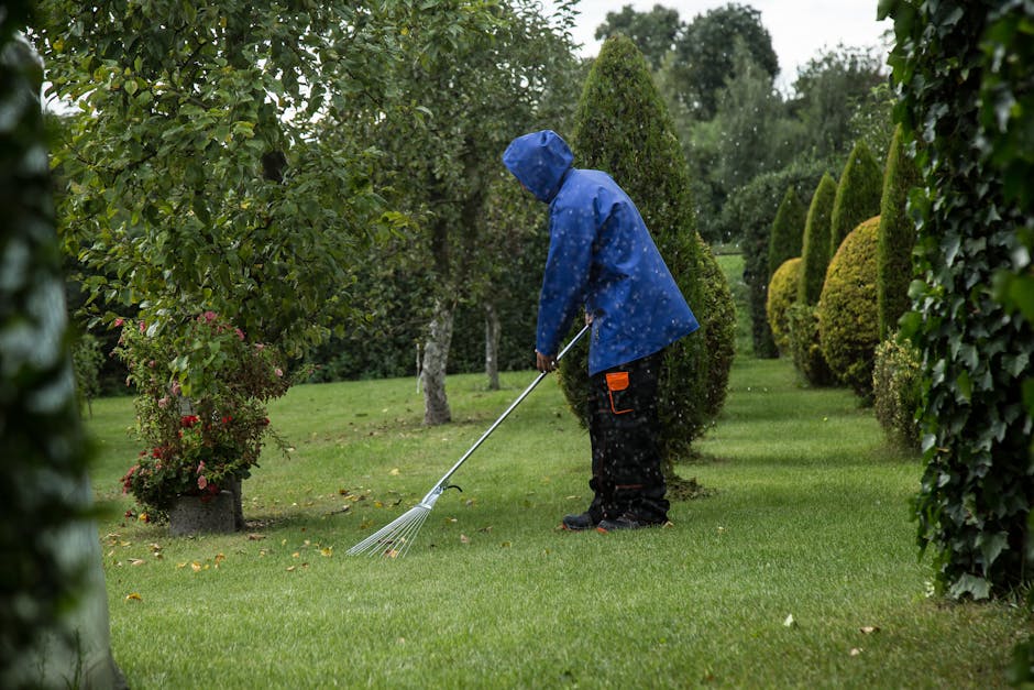 A wet asphalt path runs alongside a neatly trimmed hedge, leading towards a brick house with a steeply pitched roof and a small, white-framed window on the upper floor. The sky overhead is overcast, c