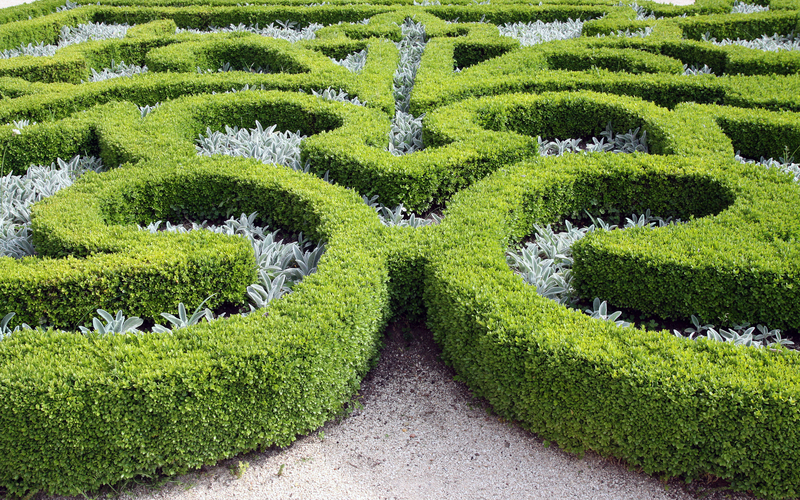 garden design Hedge trimming